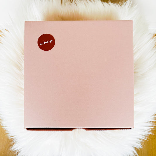 Cadeaubox 'Wil jij mijn meter zijn?'