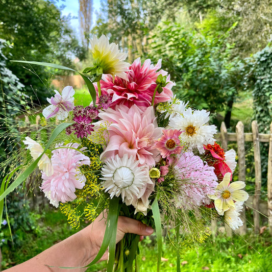 Plukgeluk, de start van je eigen bloementuin