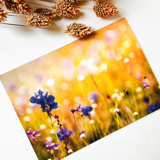 Bon Fleuri - 25 €