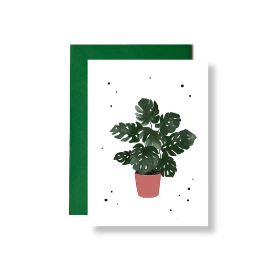 Monstera