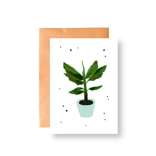 Musa